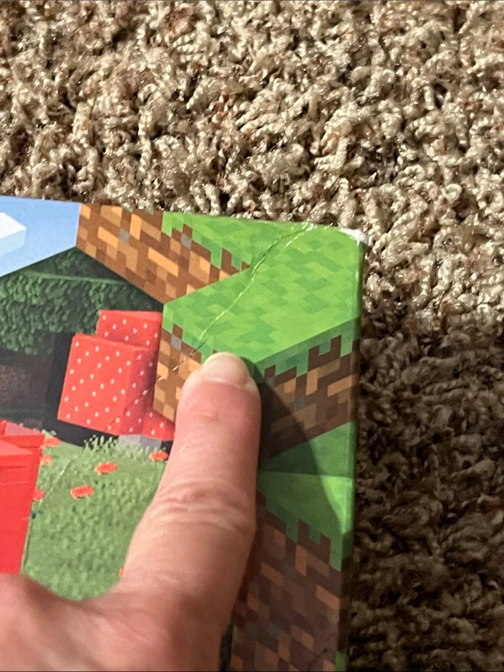 LEGO Minecraft The Mushroom House Set - Retired - Picture 10 of 13